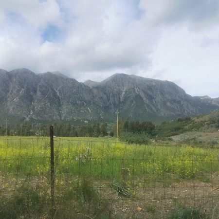 Localita Zarvenu Βίλα Siniscola Εξωτερικό φωτογραφία