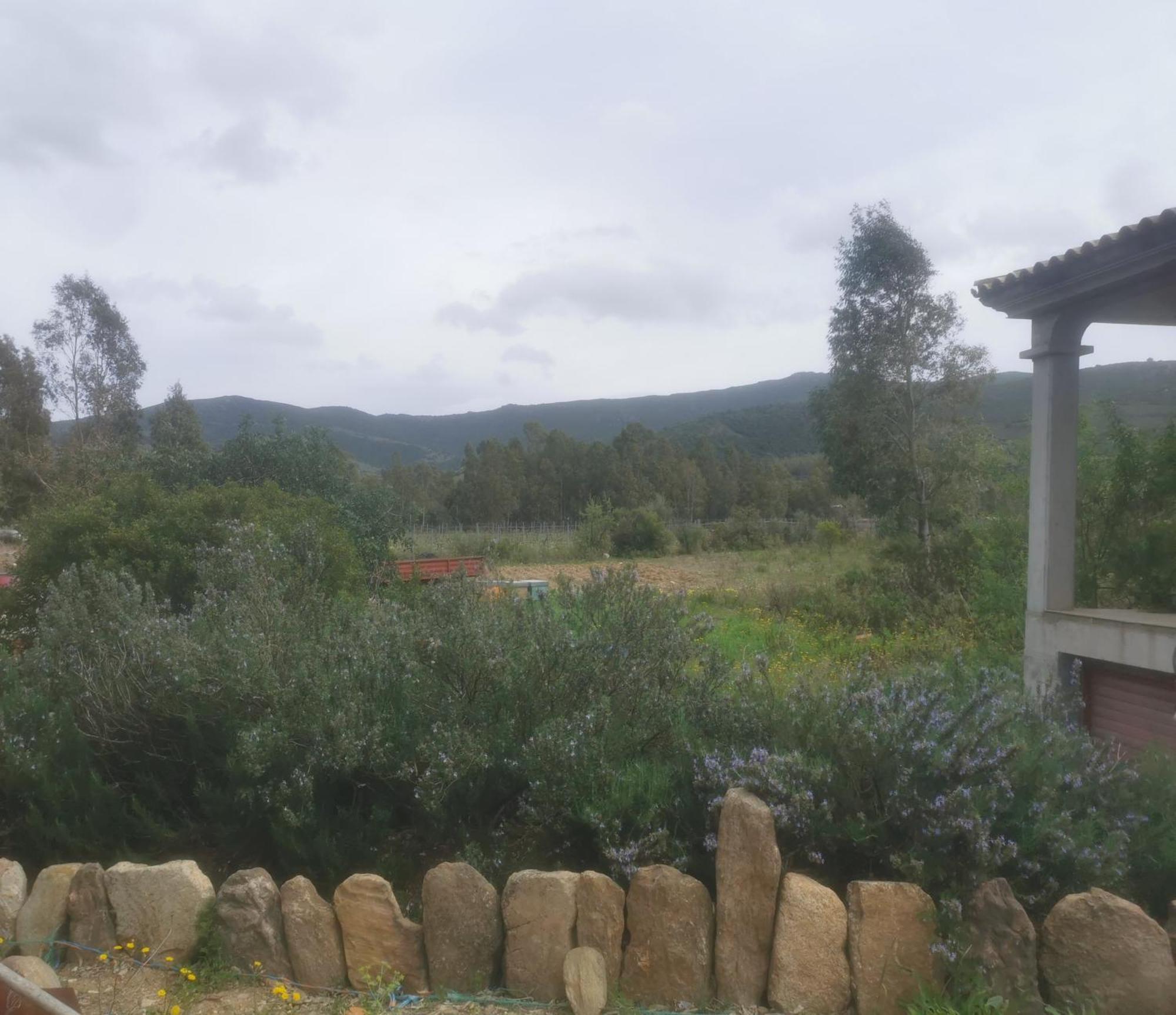 Localita Zarvenu Βίλα Siniscola Εξωτερικό φωτογραφία